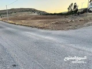  1 ارض للبيع مساحه 6 دونم و 400 متر النعيمه مستصلحه واصل كهرباء على شارع معبد 10 متر وقريبه من الخدمات
