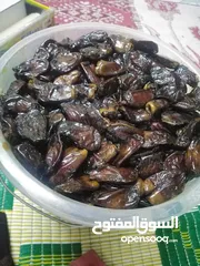  8 تتوفر معي تمور عمانيه بجوده عاليه وعسل وسمن
