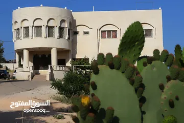  17 قصر فاخر مع خزان ماء كبير و أرض مطلة يصلح فندق ومطعم ومنتجع سياحي أو منزل لعظيم قرب التلفريك