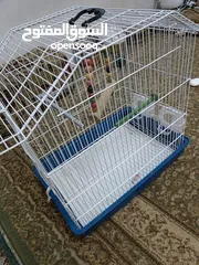  4 قفص عصافير