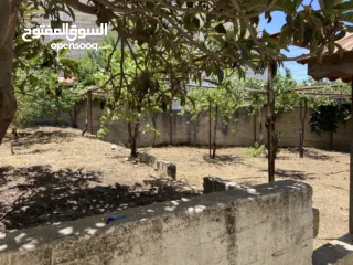  5 ارض مع بناء قائم