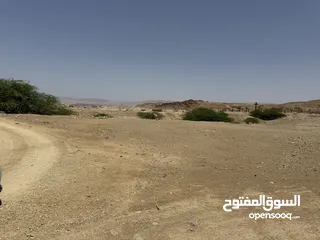  8 للبيع ارض في منطقة البحر الميت