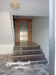  5 محمود ابو حيدر