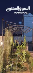  11 حداد متنقل في عمان