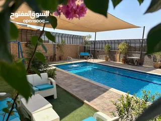  2 شاليه للايجار اليومي في الغور منطقة الروضه تم الافتتاح واسعار باذن الله مميزه