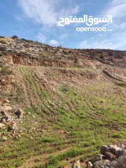  1 أرض للبيع يوجد بها كوشان طابو