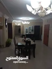  1 شقة مفروشة للايجار في الماصيون