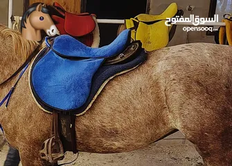  1 سرج مع كامل اغراضه