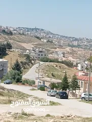  9 ارض مميزه جدا للبيع فورا مطل الجبيهه