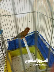  28 Othman10Othman@@