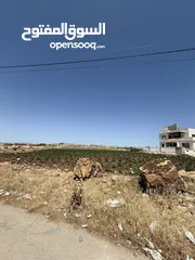  2 السلط/ السرو الجنوبي دونم 1