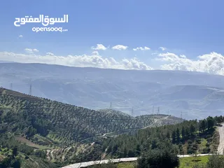  19 مزرعة مميزة في جرش مع بيت طابقين بسعر مميز للبيع