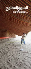  2 خيم هنديه كبيره للبيع 20*10