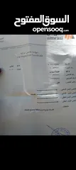  21 بريوس2011 اروبي كرت ابيض وكاله