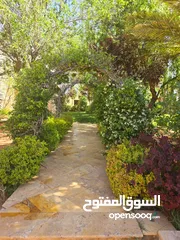  3 بيت مستقل للبيع