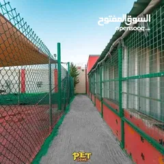  13 احجز لاقامه كلبك وراحته
