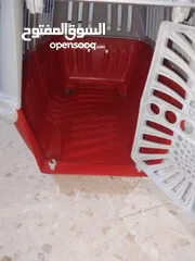  6 قطتين أنثى و ذكر