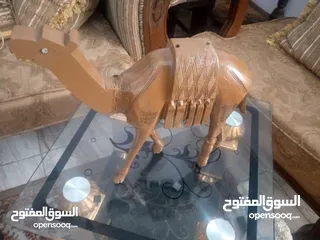  18 مناظر حيوانات للبيع بسعر مغري
