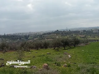  4 ارض سكنيه قرب مثلث حور فوعرا للبيع بسعر مغري