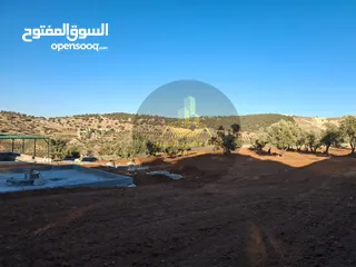  13 رقم الاعلان (4495) مزرعة للبيع في الكمشة حوض الميدان اطلالة بانوراما