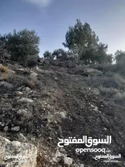 2 ارض للبيع في صوريف / خلة ابو سليمان
