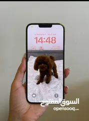  3 13برو ماكس 128 جيجا