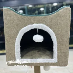  4 بيوت مع خداشات للقطط