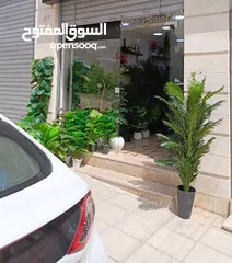  3 محل للإيجار مع خلو