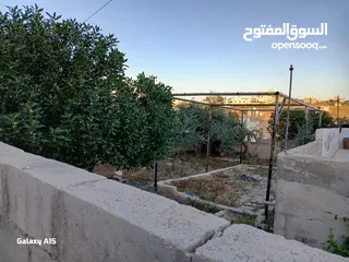  21 منزل للبيع المفرق بلعما الزيتونه واصل جميع الخدمات منطقة الزيتونة قريب من شارع اوستراد اربد الزرقاء