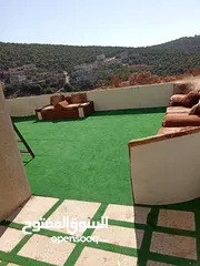  24 فيلا مستقلة مفروشة للايجار اليومي أو الاسبوعي أو الشهري  مطلة على جبال اشتفينا وعجلون عائلات فقط