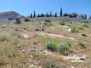  20 2300 م السلط المغاريب قطعة ملوكية تصلح ل فيلا او مزرعة اطلالة ع الغرب و جبال فلسطين