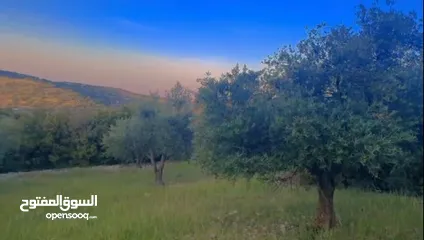  9 قطعه ارض للبيع من المالك مباشره ذات اطلاله بانوراما خلابه مفروزه