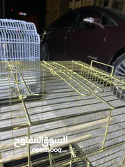  6 قفص ببغاء ذهبي لون ثابت أساسي نخب أول يصلح للمعاكيف المتوسطة والكبيرة اقرأ الوصف