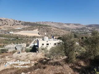  9 حصة في منطقة المشتل