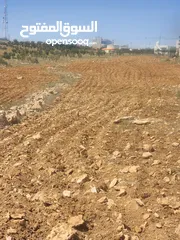  2 للبيع ارض الدجنية يوجد 3 قطعه
