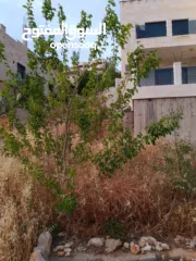  6 منزل دوبليكس للبيع في بتير