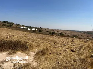  5 قطعة ارض زراعية مرتفعة خلف جامعة عجلون الوطنية ، بافضل اطلاله في عجلون - من المالك وبسعر مغري