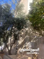  3 منزل للبيع