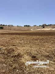  3 ارض للبيع سكن ب خاص