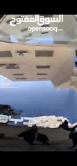  1 بولش ونانو سيراميك عرض