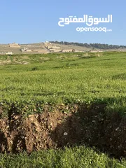  6 ارض للبيع جرش عنيبه بقوشان مستقل 3500متر مفروزه بقوشان مستقل اطلاله مميزه جدا جدا