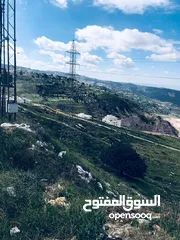  1 ارض في الفحيص للبيع 17 دونم