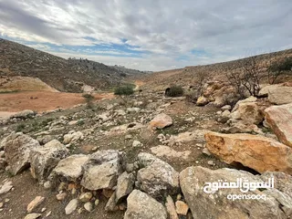  2 ارض بسعر مغري