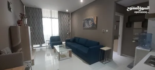  10 Fully furnished 1 br flat with all facilities