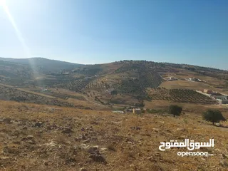  12 ارض زراعية ذات اطلالة رائعة للبيع في صروت السفوح تصلح لمزرعة او شاليه او للاستثمار أو إقامة منتجع