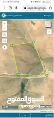  1 للبيع قطعة أرض 10 دونم في الذره جنوب عمان للاستثمار العقاري