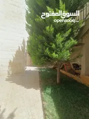  4 دابوق ـ شقه فارغه للايجار مجدده بالكامل ـ ارضيه مدخل خاص حديقه 150 متر
