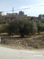 11 ارض مميزة مطلة ابو السوس غرب عمان عدة قطع في المنطقة.