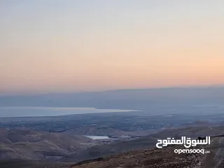  10 ارض في منطقة عراق الامير تحديدا ام المدارس