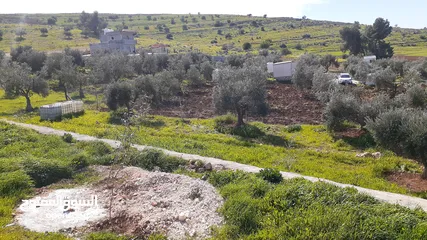  6 مزرعه 3400 م مع بيت ريفي للبيع شرق جرش  دحل المدور  حمامه